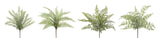 Assorted fern foliage bush (set of 12)