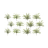 Assorted fern foliage bush (set of 12)