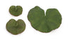 Assorted bag of leaves filler (set of 12)