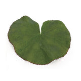 Assorted bag of leaves filler (set of 12)