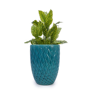 Ceramic Flowerpot, Planter For Patio, Garden, Windowsill