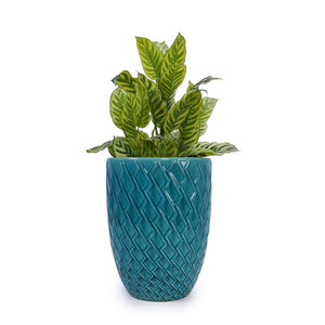 Ceramic Flowerpot, Planter For Patio, Garden, Windowsill