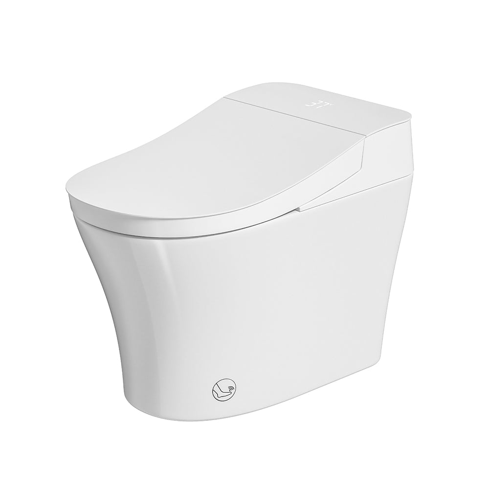 Smart Toilet Bidet with Auto Open Close