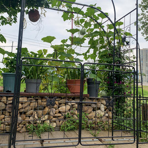 Garden Arch Arbor Trellis for Climbing Plants with Gate, Durable Metal Garden Arch Outdoor Wedding Arch, for Wedding Ceremony Party Plant Climbing Rose Vines Lawn Courtyard Patio Black, 7.15ft