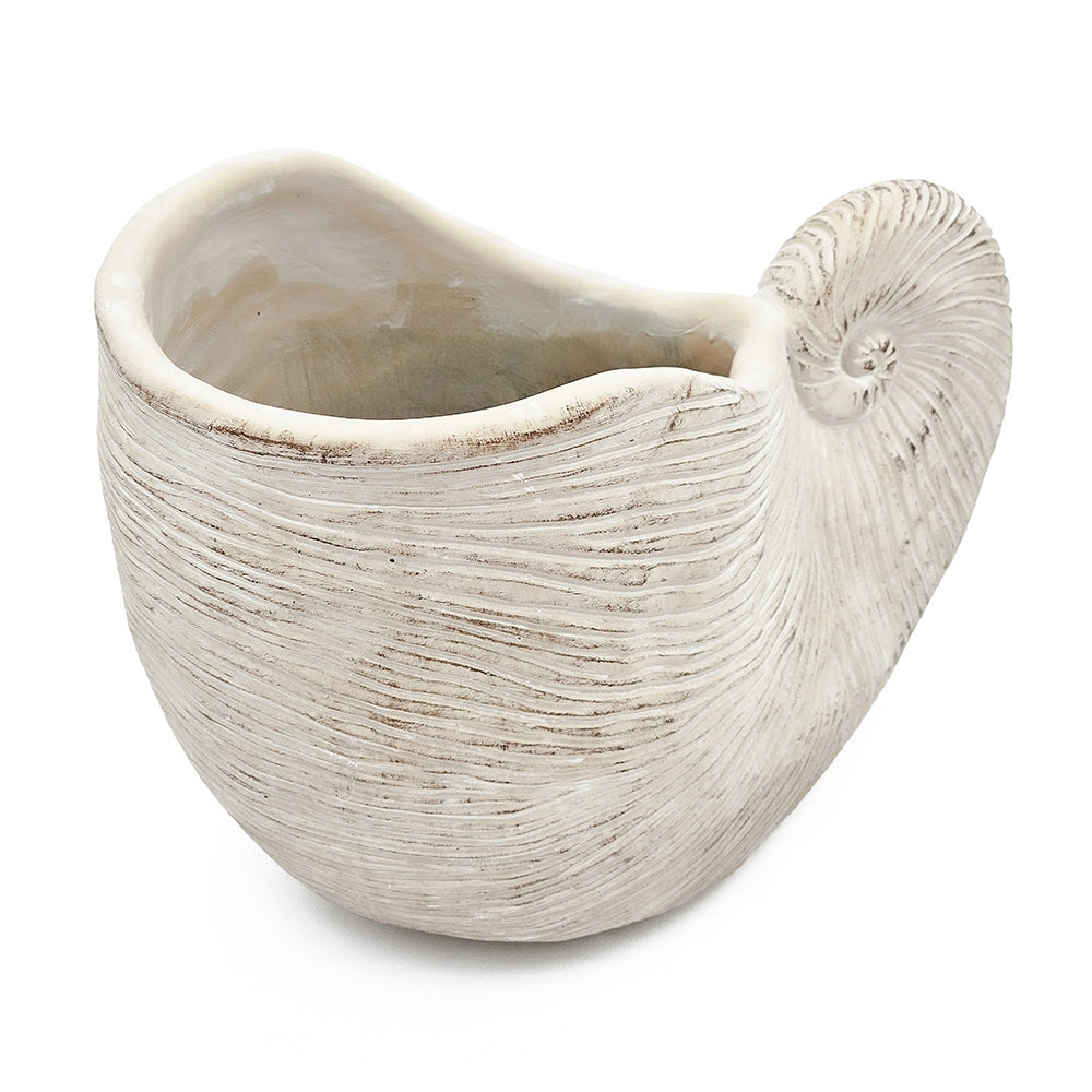 11.5x6.7x7.7 Sand and Cement Nautilus Shell Planter with Textured Beige Finish