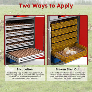 Commercial Egg Digital Cabinet Incubator With Auto Temperature & Humidity Control