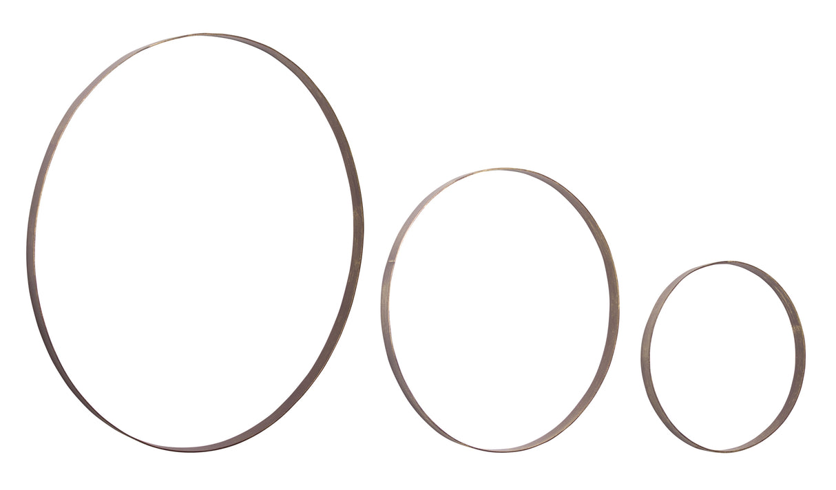 Iron Metal Rings Wall Display (Set of 3)