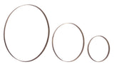Iron Metal Rings Wall Display (Set of 3)