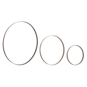 Iron Metal Rings Wall Display (Set of 3)