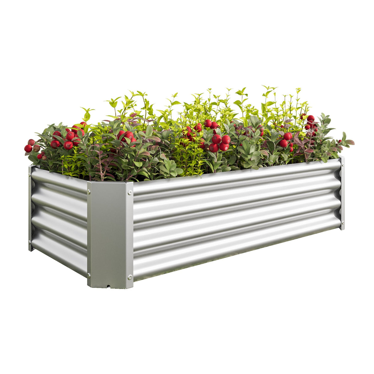 Metal Raised Garden Bed 4x2x1 ft