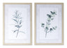 Framed-Watercolor-Eucalyptus-Foliage-Print-(Set-of-2)-Wall-Art