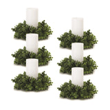 Eucalyptus-foliage-candle-ring-(set-of-6)-Candles