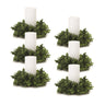 Eucalyptus-foliage-candle-ring-(set-of-6)-Candles