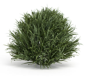 Spring Grass Half Orb (Set of 6)