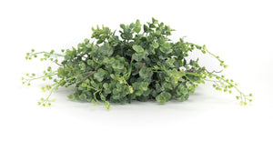 Spring Boxwood Foliage Half Orb (Set of 6)