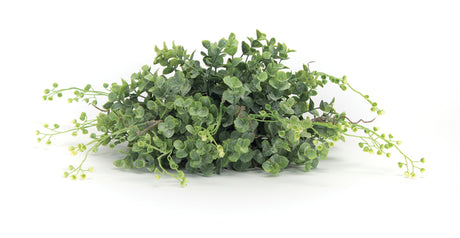 Boxwood foliage half orb (set of 6)