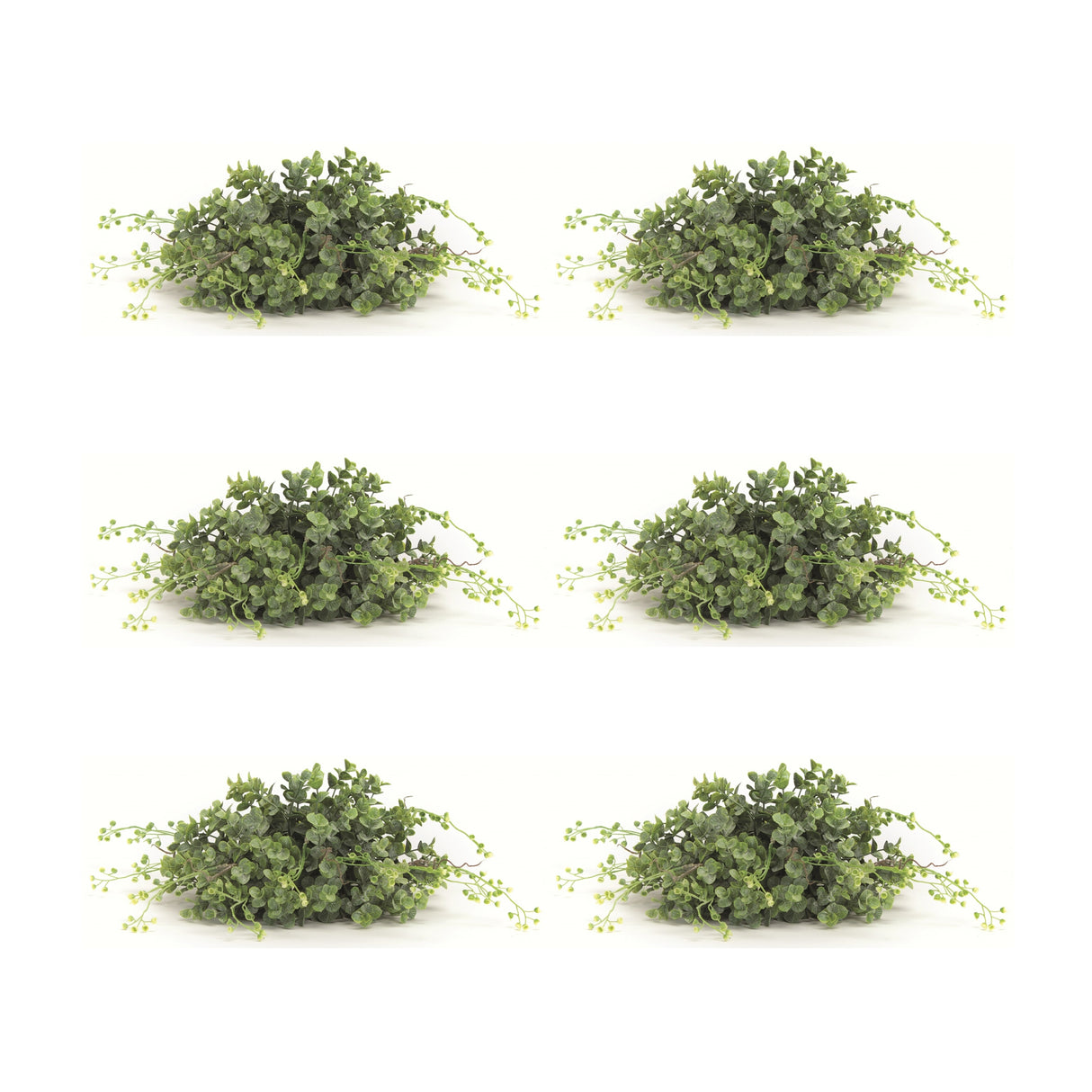 Boxwood-foliage-half-orb-(set-of-6)-Artificial-Flowering-Plants