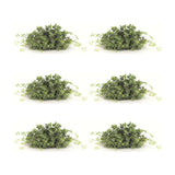 Boxwood-foliage-half-orb-(set-of-6)-Artificial-Flowering-Plants