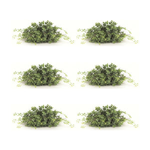 Spring-Boxwood-Foliage-Half-Orb-(Set-of-6)-Artificial-Flowering-Plants
