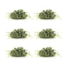 Boxwood-foliage-half-orb-(set-of-6)-Artificial-Flowering-Plants