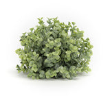 Spring Boxwood Half Orb (Set of 6)