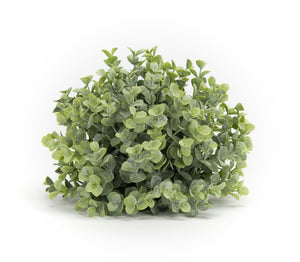 Spring Boxwood Foliage Half Orb (Set of 6)