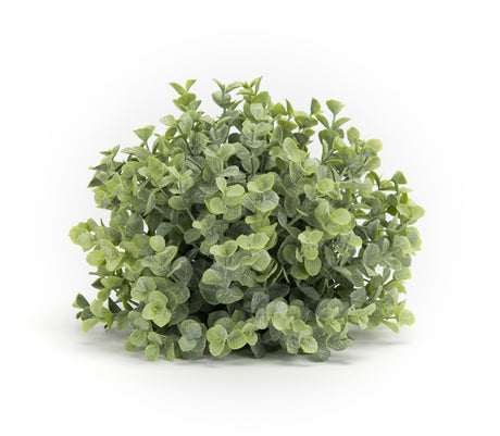 Spring Boxwood Half Orb (Set of 6)