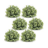 Spring Boxwood Half Orb (Set of 6)