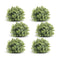 Foliage-Half-Orb-(Set-of-6)-Artificial-Flowering-Plants