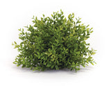 Mini leaf foliage half orb (set of 6)