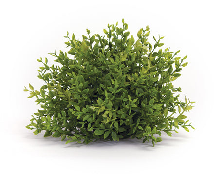 Mini leaf foliage half orb (set of 6)