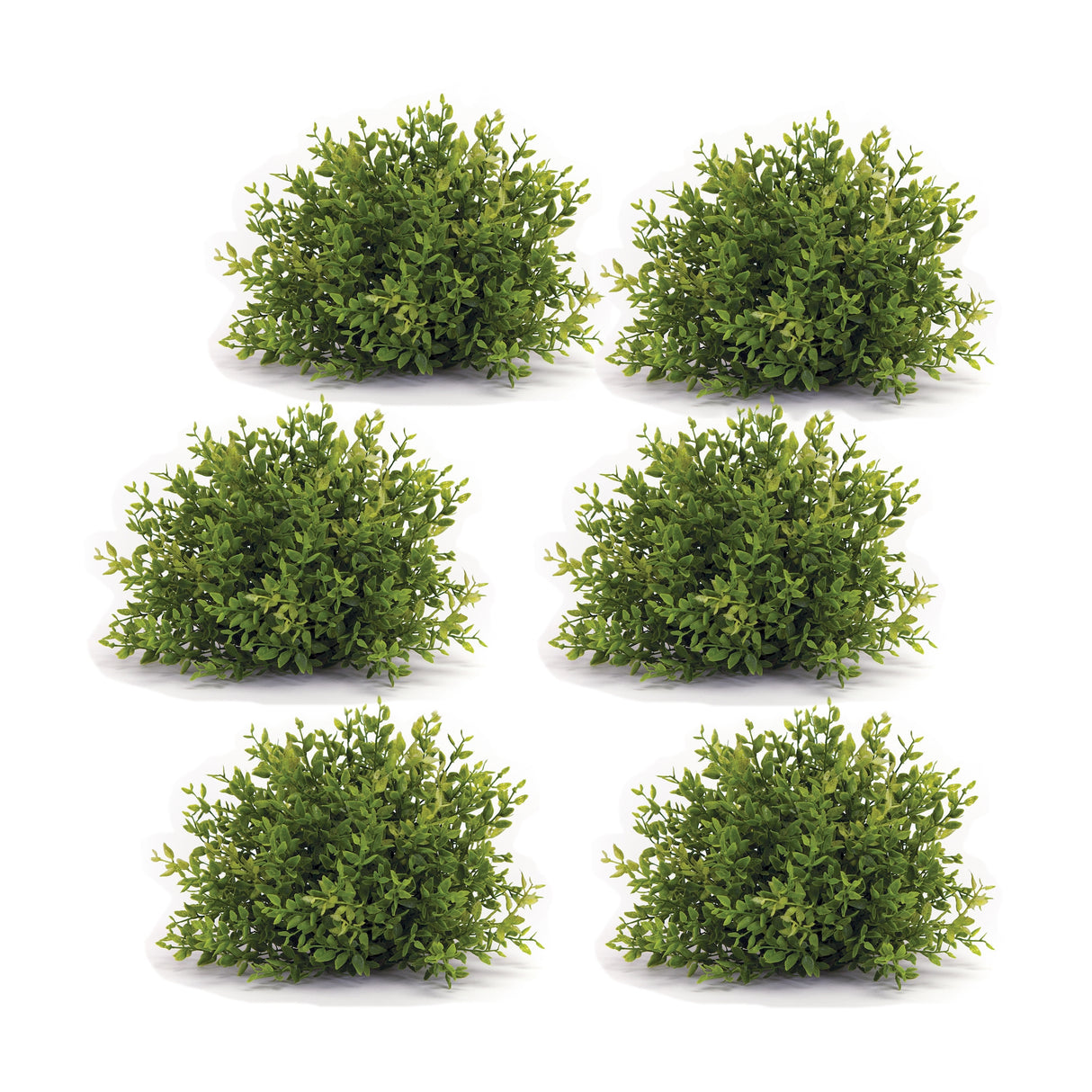 Mini leaf foliage half orb (set of 6)