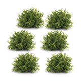 Mini leaf foliage half orb (set of 6)