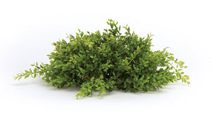 Spring Mini Leaf Foliage Half Orb (Set of 6)