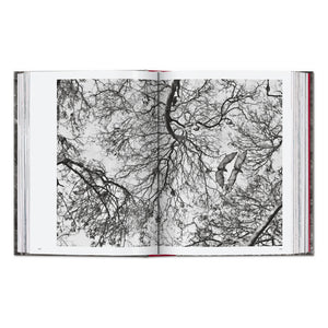 Sebastião Salgado. Genesis. 45th Ed. (English)