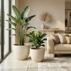 Round Concrete Planter Set of 2, Large Handmade Rustic Planter Pots