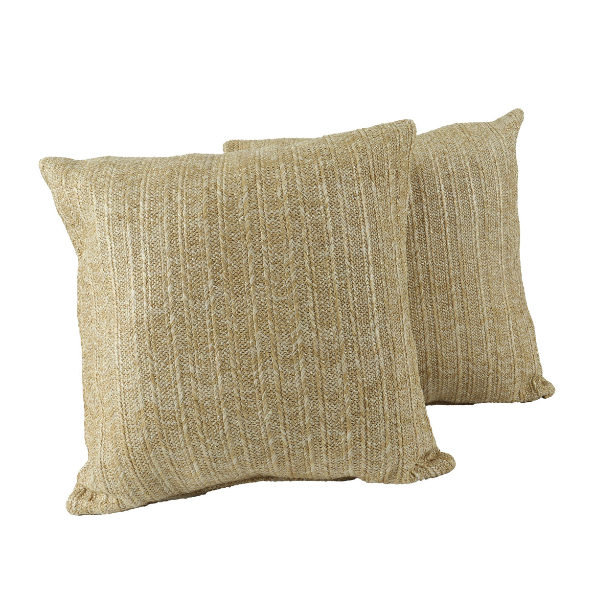Outdoor/Indoor Decorative Throw Pillows with Inserts (Set of 2)