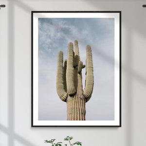 Saguaro Cactus Wall Art Canvas Print – Framed Earthy Desert