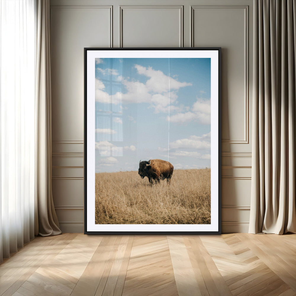 Bison Photography Wall Art Canvas Print – Framed Western