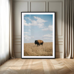 Bison Photography Wall Art Canvas Print – Framed Western