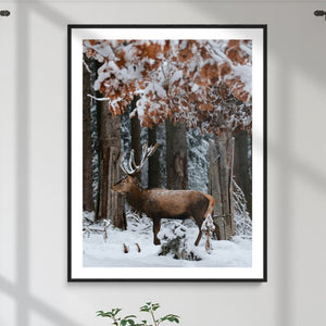 Winter Deer Landscape Wall Art Canvas Print – Serene Snowy
