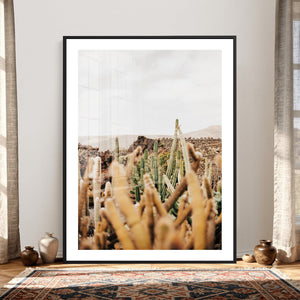 Minimal Desert Cactus Wall Art Canvas Print, Neutral