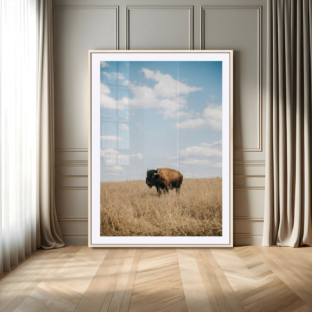 Bison Photography Wall Art Canvas Print – Framed Western