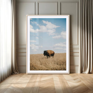 Bison Photography Wall Art Canvas Print – Framed Western