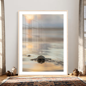 Sea Turtle Hatchling Wall Art Canvas Print – Soft Coastal