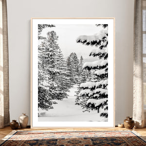 Winter Pine Forest Wall Art Canvas Print, Minimal Winter