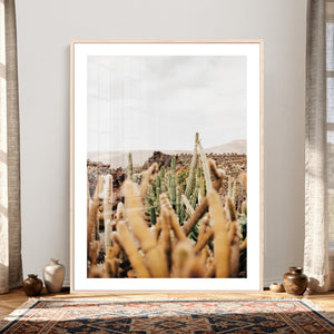 Minimal Desert Cactus Wall Art Canvas Print, Neutral
