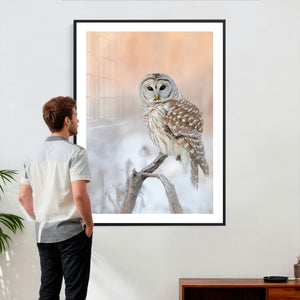 Barred Owl Wall Art Canvas Print – Soft Neutral Wildlife