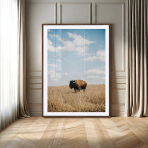 Bison Photography Wall Art Canvas Print – Framed Western