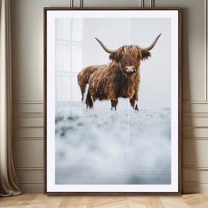 Highland Cow Wall Art Canvas Print – Framed Horned Scottish